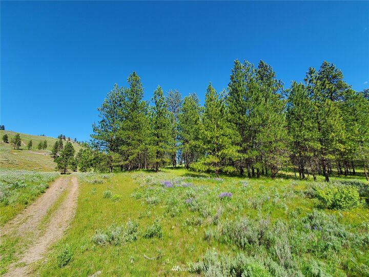Property Photo: 0 Tbd Cook Mtn Road WA 98829