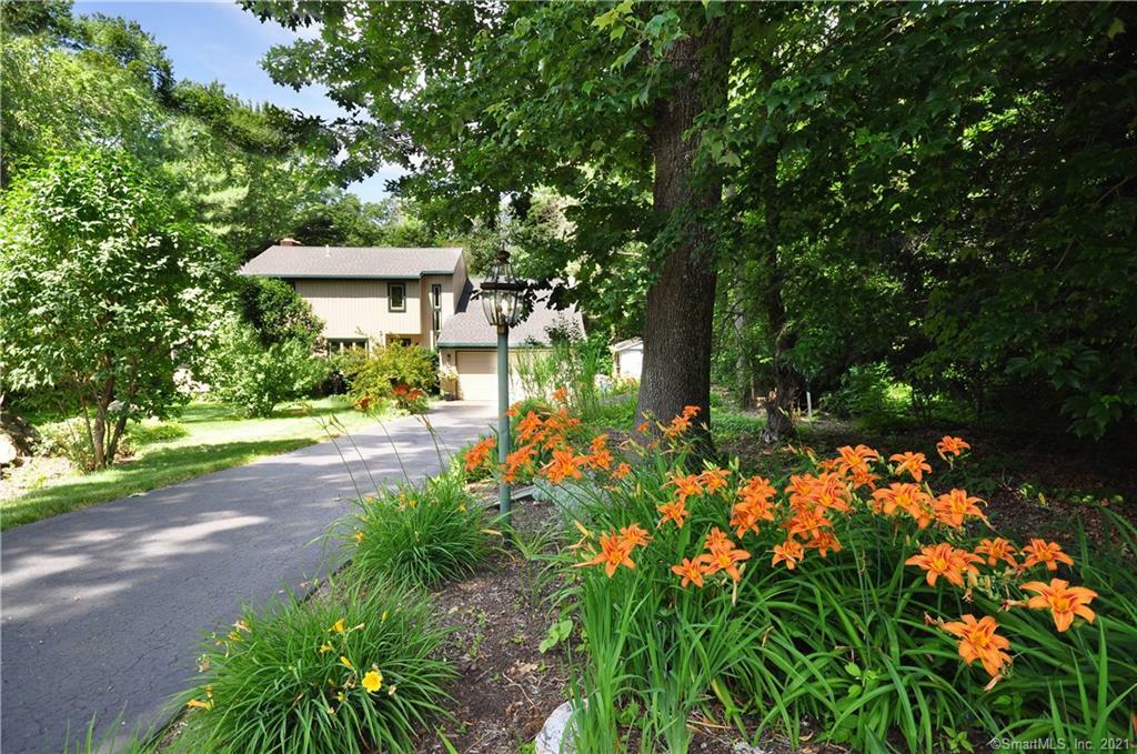 Property Photo:  7 Westview Drive  CT 06019 