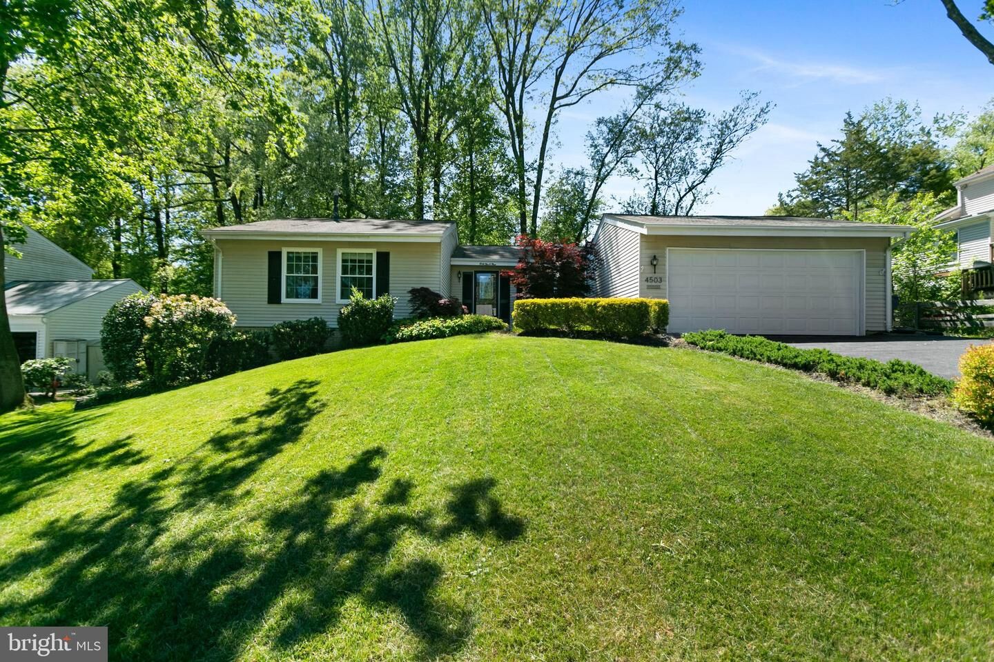 Property Photo:  4503 Buffalo Trace  VA 22003 