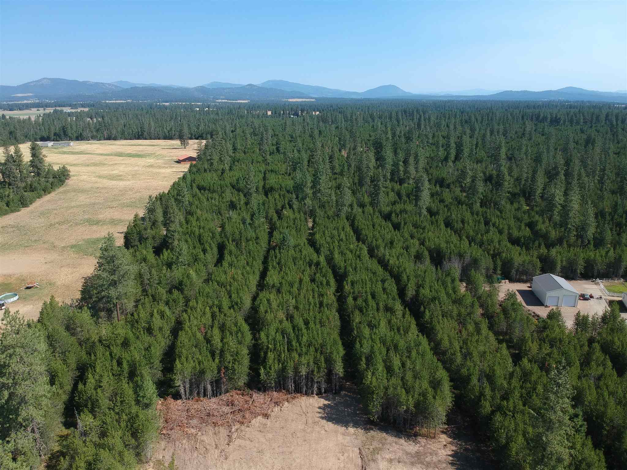 Property Photo: 2118 W Montgomery Rd WA 99006