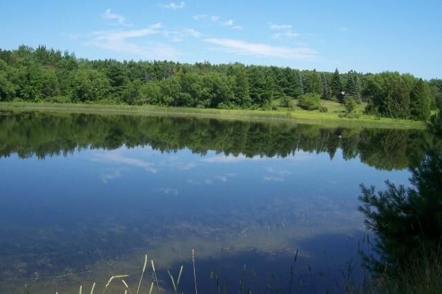 Property Photo: South River Road MI 49721