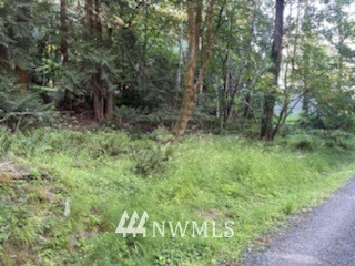 Property Photo:  1948 Island Drive NW  WA 98502 