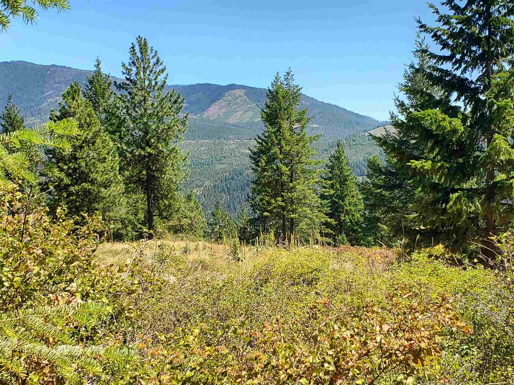 Property Photo:  745 Dry Gulch Rd  WA 99114 