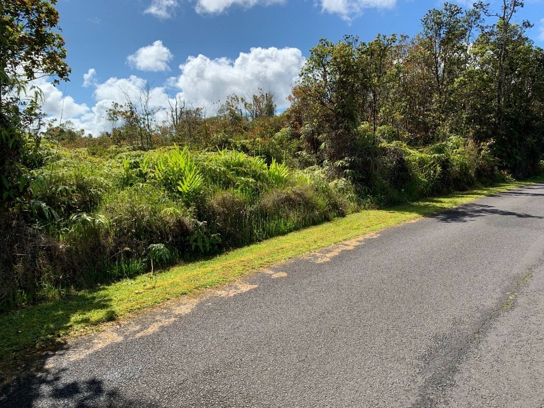 Property Photo:  Ala Kapena  HI 96785 