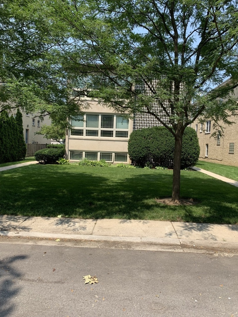 Property Photo: 3350 W Columbia Avenue 1 IL 60712