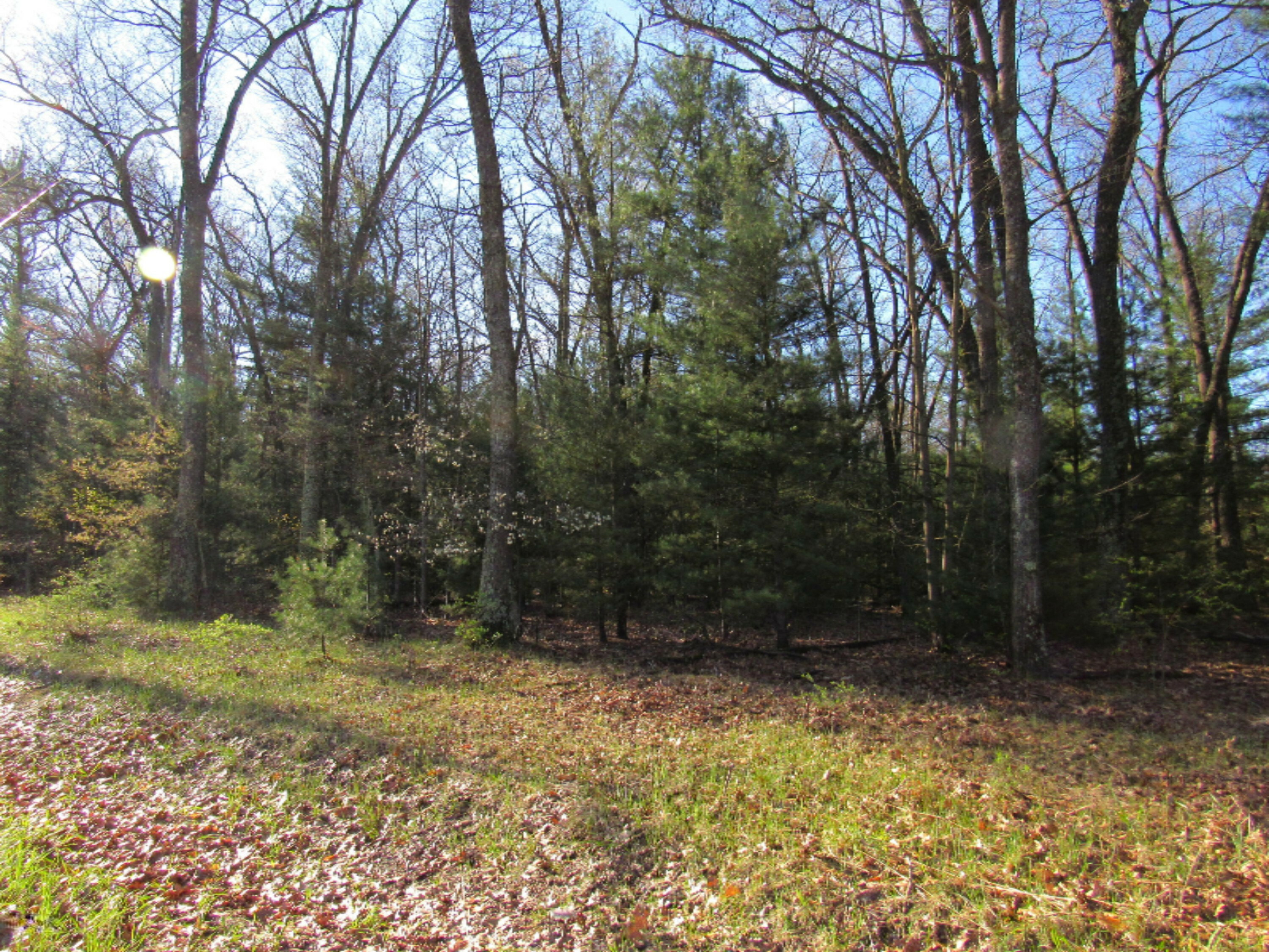 Property Photo:  E White Lake Drive  MI 49457 