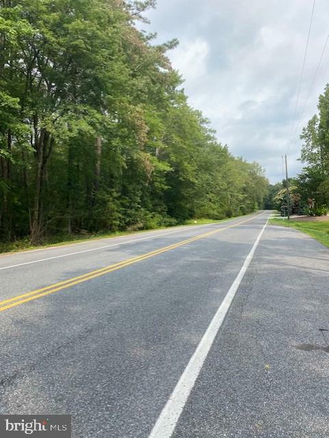 Ocean Gateway And Forest Grove Rd  Parsonsburg MD 21849 photo