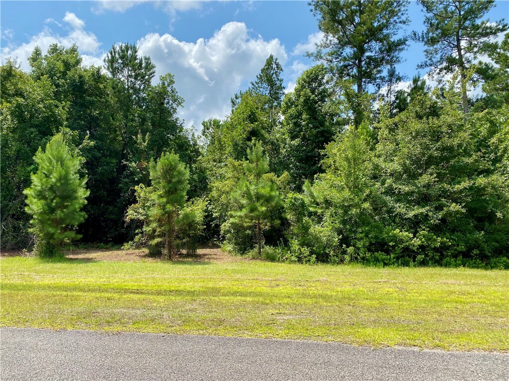 Property Photo:  V/L 55 Catfish Landing Circle  GA 31548 