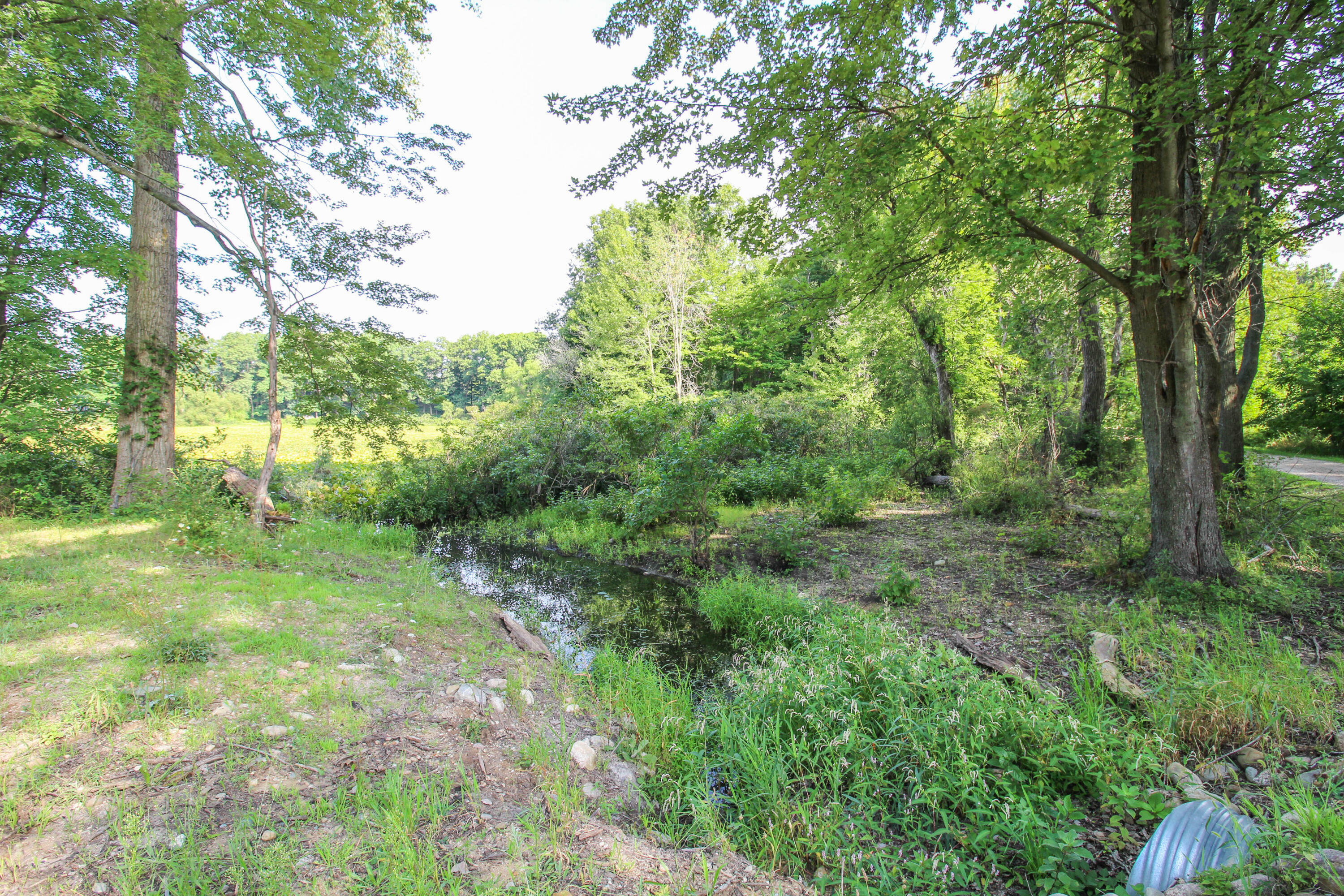 Property Photo:  1 1/2 Mile  MI 49051 