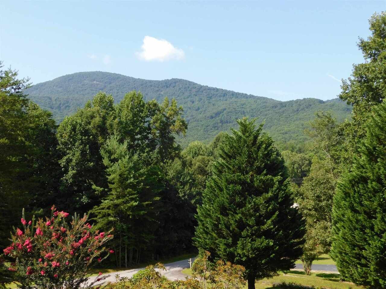 Property Photo:  145 Starlight Drive  GA 30571 