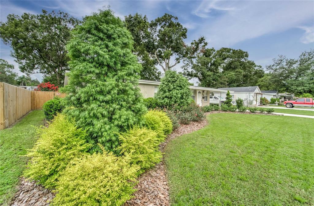 Property Photo: 1309 E Calhoun Street FL 33563