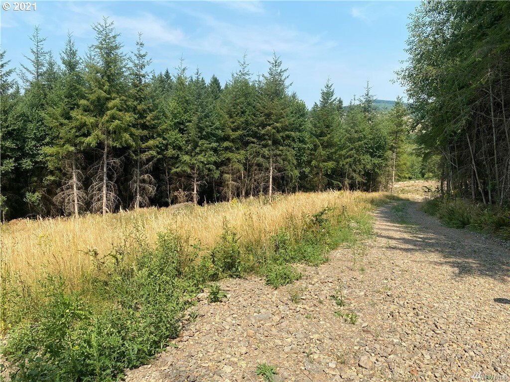 Property Photo:  0 S Goble Creek Rd Lot C  WA 98626 