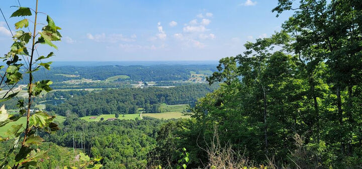 442 Acres Back Valley Road  Dayton TN 37321 photo