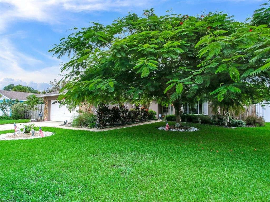 Property Photo:  13368 Hacienda Drive  FL 33774 