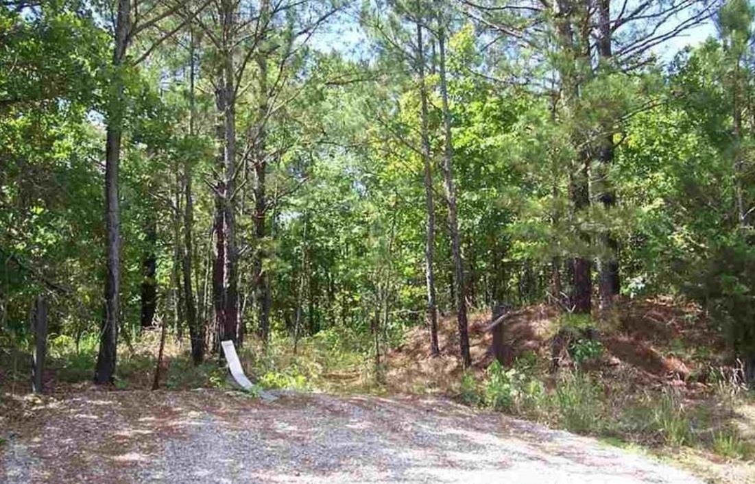 Property Photo:  4381 Essary Springs Rd Road  TN 38061 