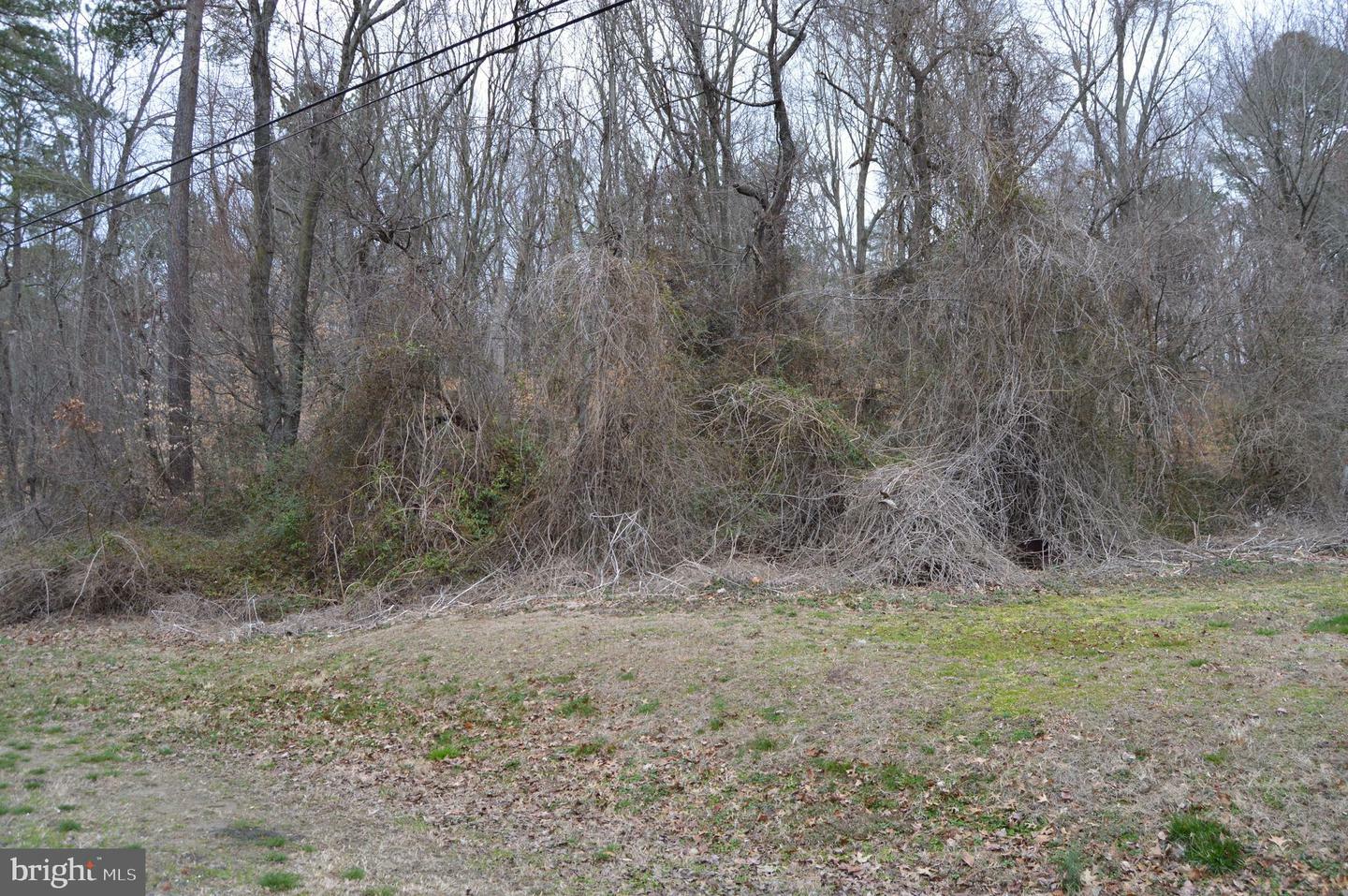 Property Photo: Brownsville Road MD 21617