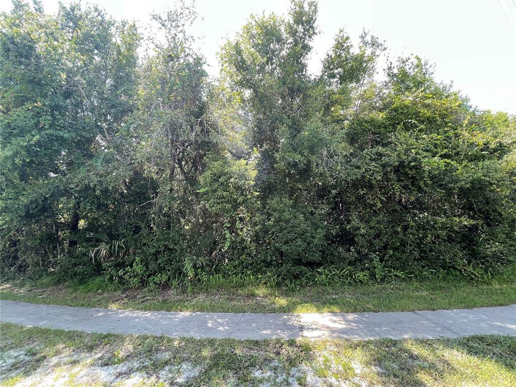 Property Photo:  818 Humphrey Boulevard  FL 32738 