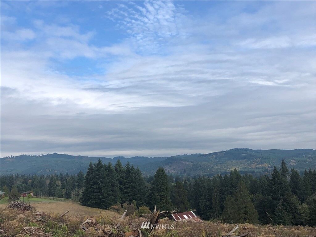 Property Photo: 0 Parcel 1 Mull Road WA 98611