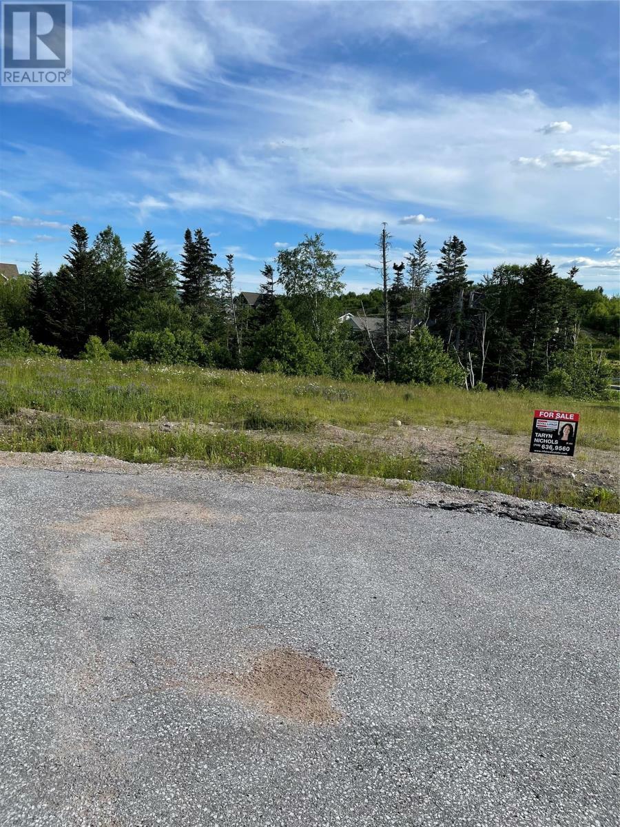 8A Jacks Place  Deer Lake NL A8A 0B6 photo