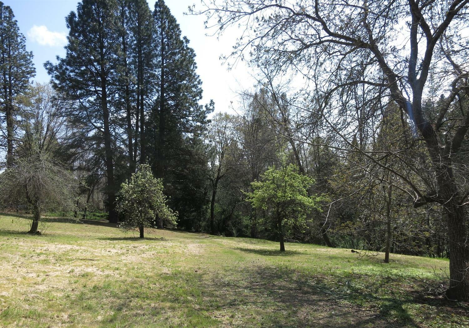 Property Photo:  200 Collins Lane  CA 95945 