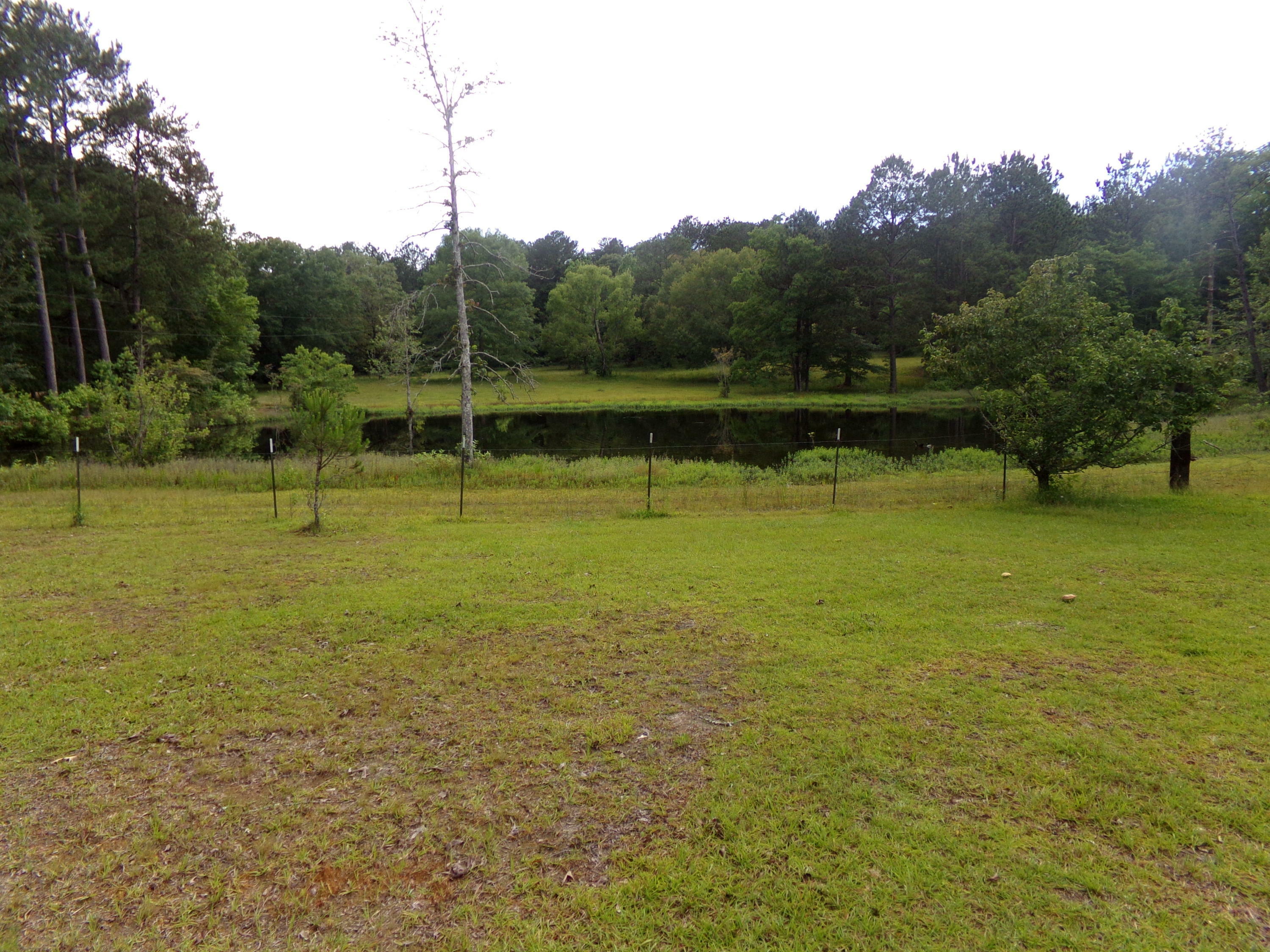 3142 Savage Forks Rd  Leesville LA 71446 photo