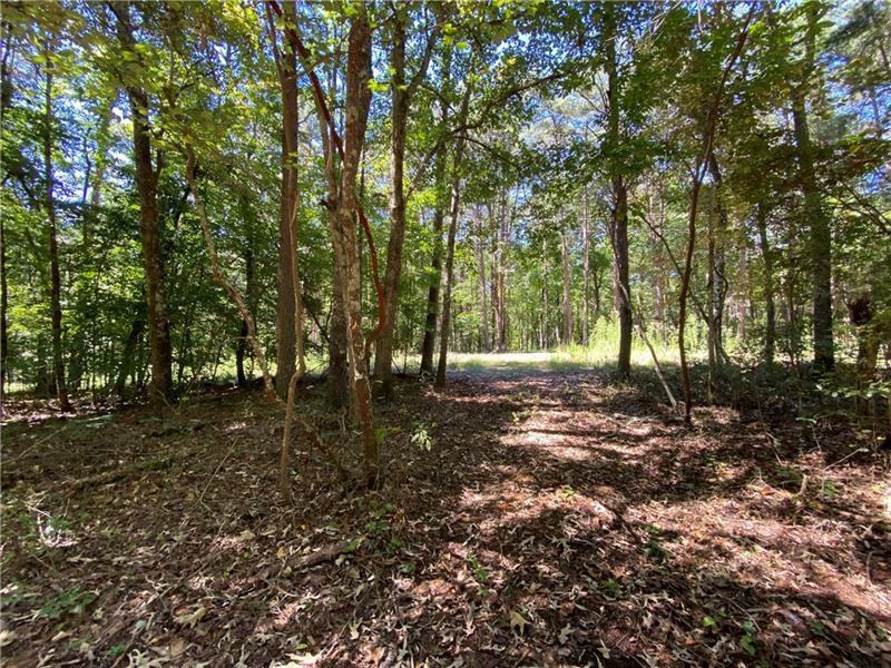 Property Photo:  Lot 6 Mineral Springs Road  GA 30107 