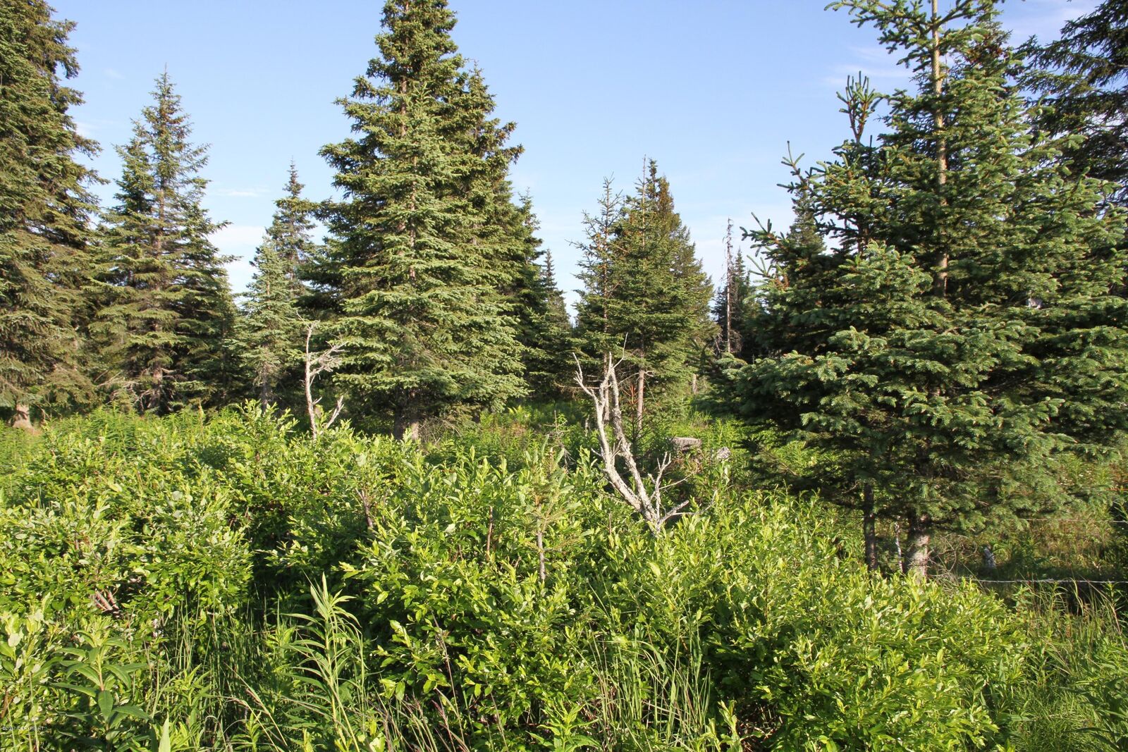 Property Photo: 24090 Sterling Highway AK 99639
