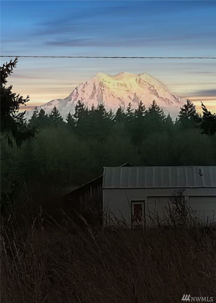 Property Photo:  12036 Bald Hill Rd SE  WA 98597 