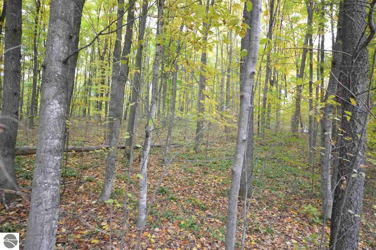 Property Photo:  Lot 12 Crimson King Drive  MI 49643 