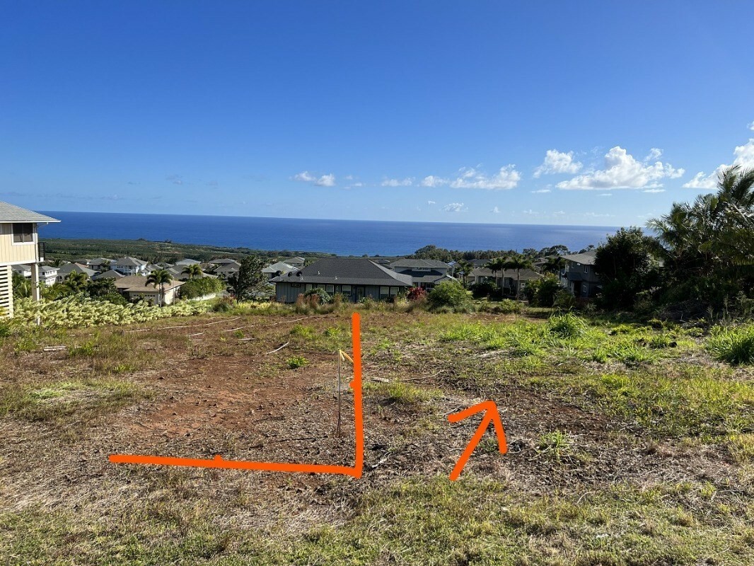 Property Photo:  1185 Lani Nuu St  HI 96741 