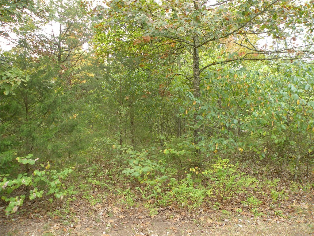 Property Photo:  24 N Star Loop  AR 72631 