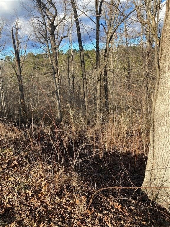 Property Photo:  Lot 7, Block 4 Johnson Lane  AR 72715 