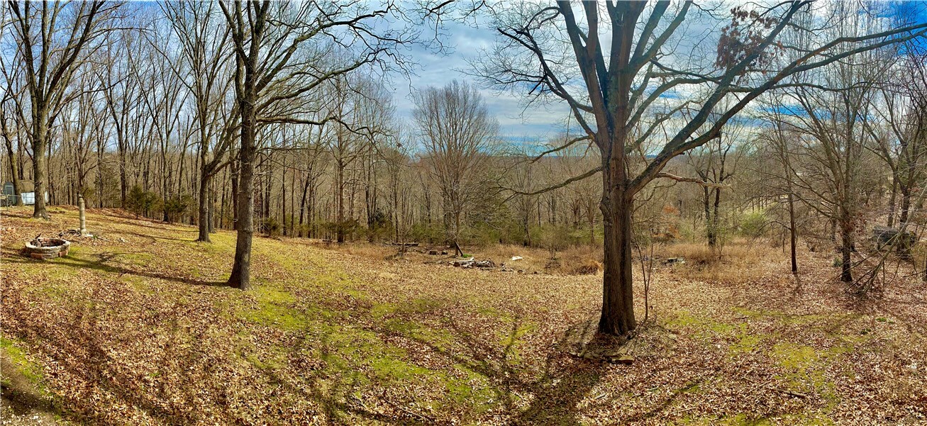 Property Photo: 9588 Palomino Drive AR 72758