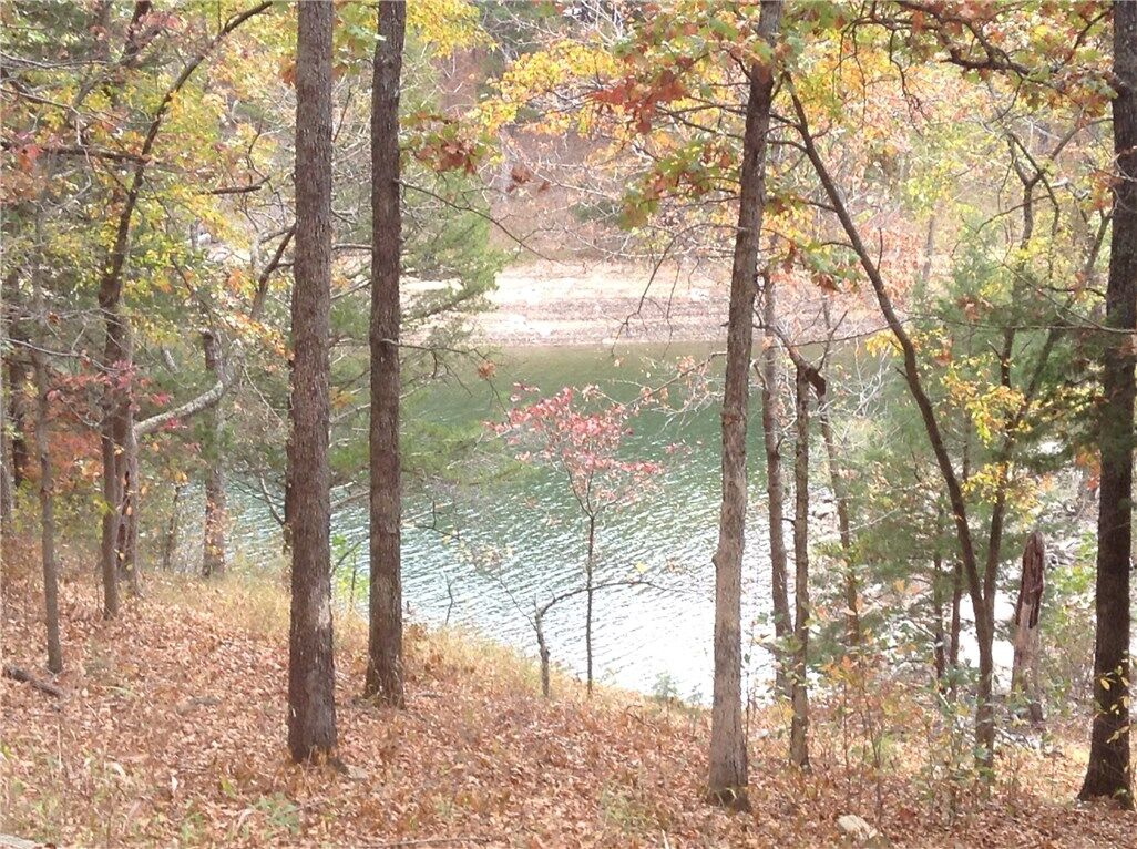 Property Photo:  Tbd Lakeshore Drive  AR 72631 