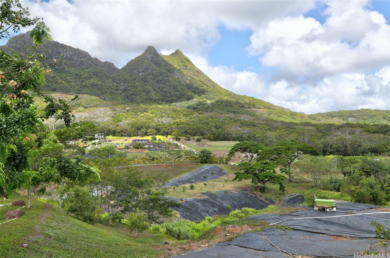 42-100 Old Kalanianaole Road 18  Kailua HI 96734 photo