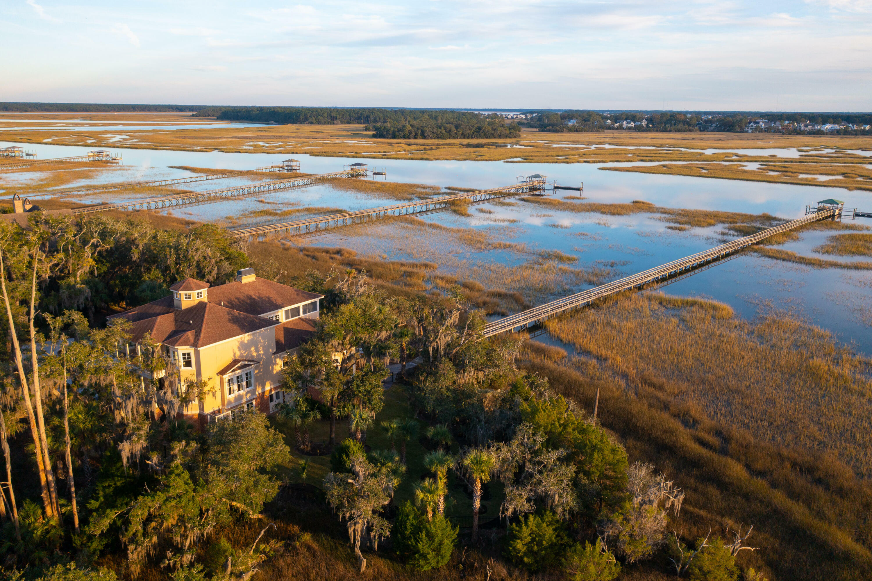 101 White Salt Lane  Charleston SC 29492 photo