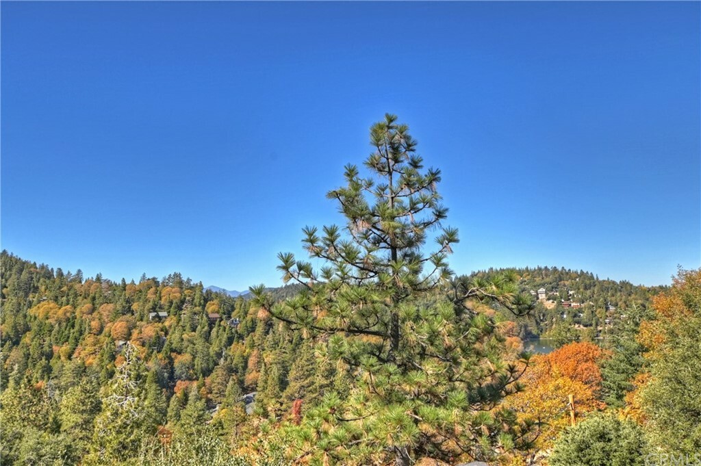 Property Photo:  849 Berne Drive  CA 92325 