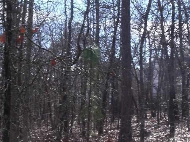 Property Photo:  200 Cantle Drive  GA 31324 