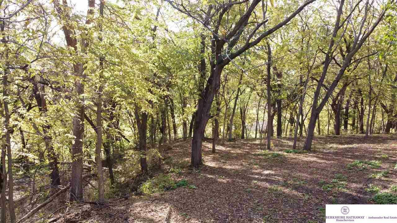 Property Photo:  Lot 3 Adj 1705 Cr P 15  NE 68002 