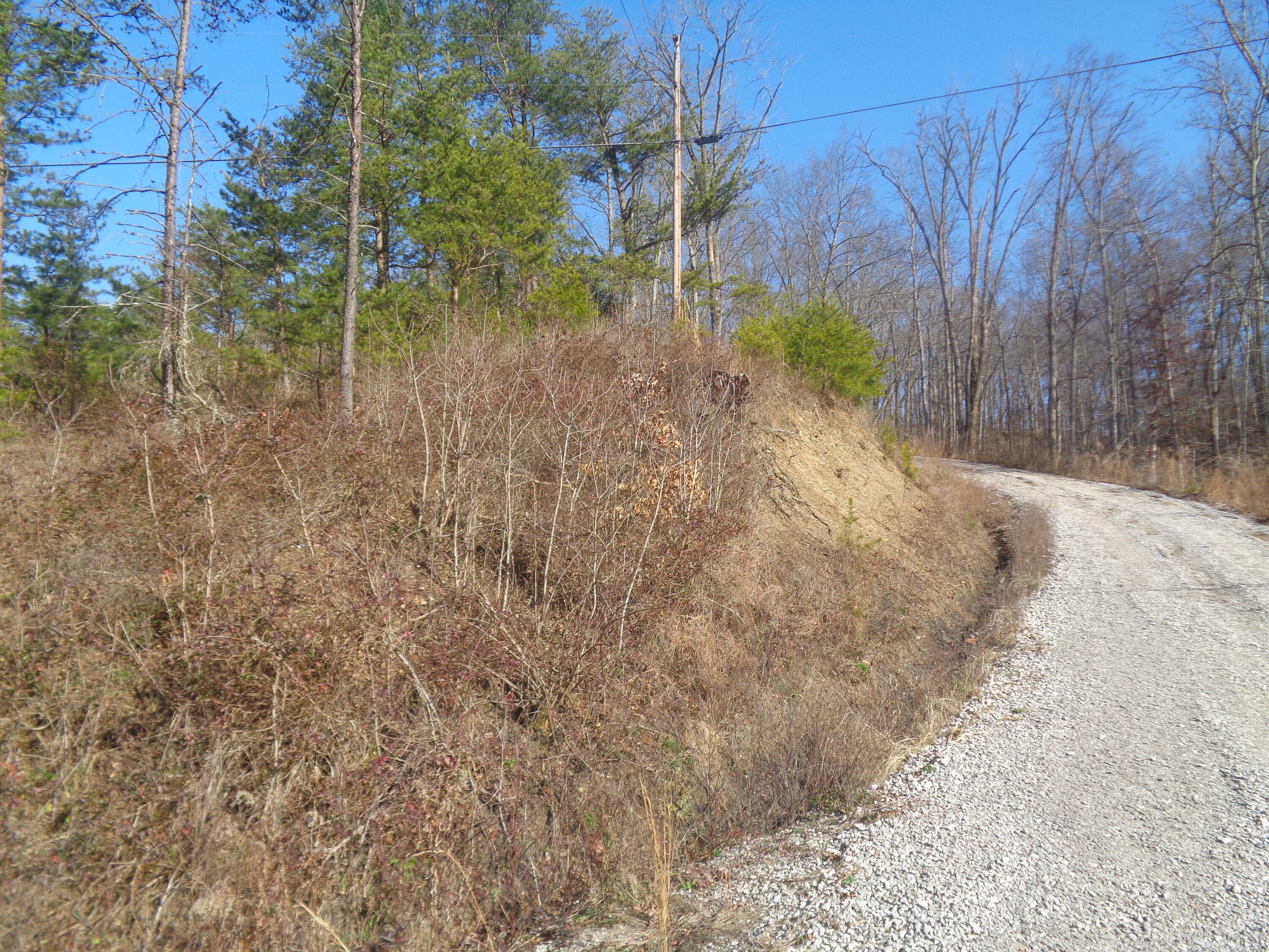 Property Photo:  6-7 Freeman Branch Road  KY 40729 