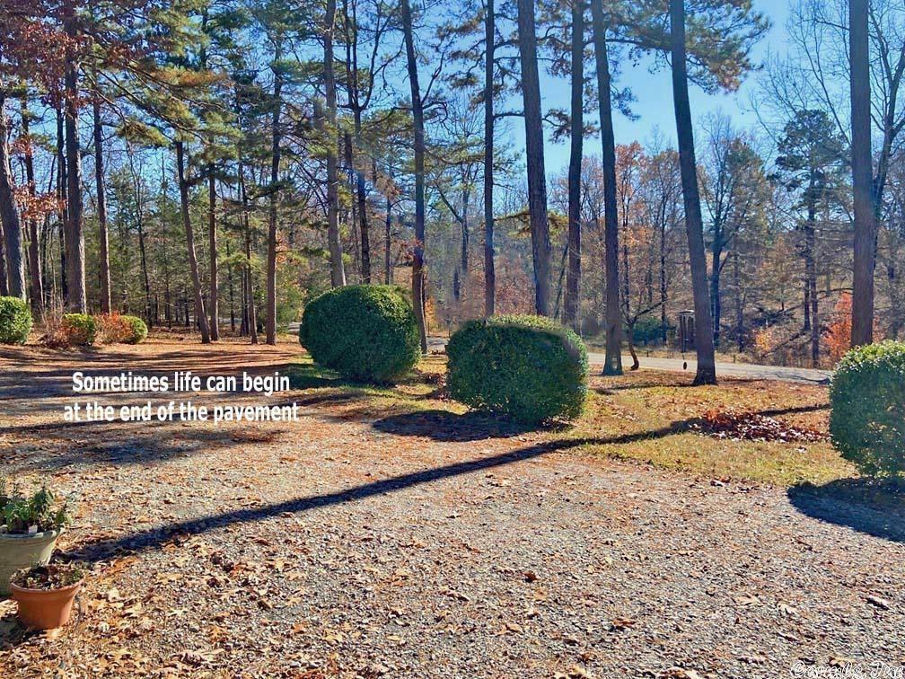 Property Photo: 225 Kings Crossing AR 72519
