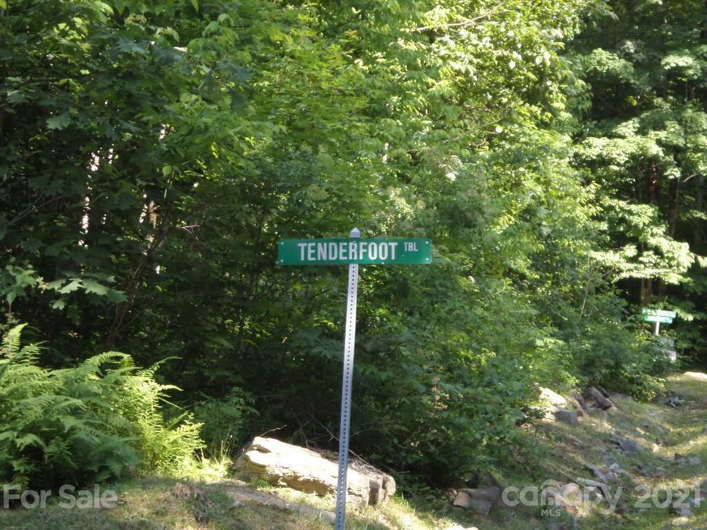 Property Photo:  100 Tenderfoot Trail 100 &Amp 101  NC 28751 