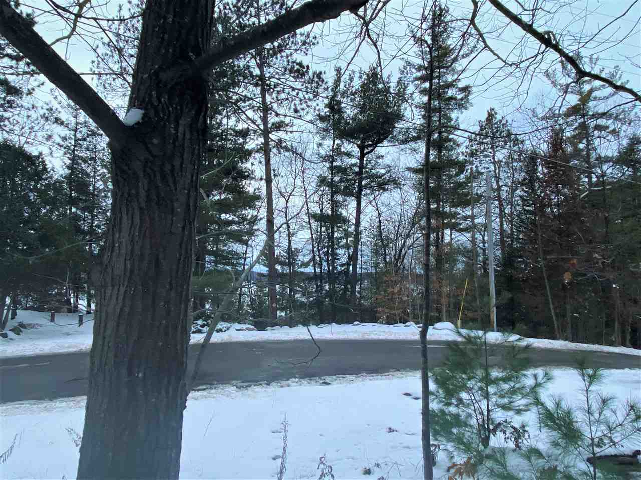 Property Photo:  0 North Shore Drive  MI 49796 