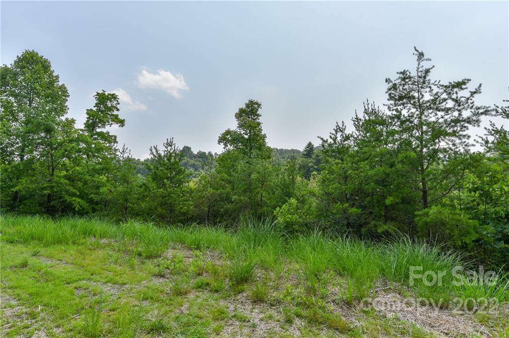 Property Photo:  Lot 11 The Vines Boulevard Lot 11  NC 28753 