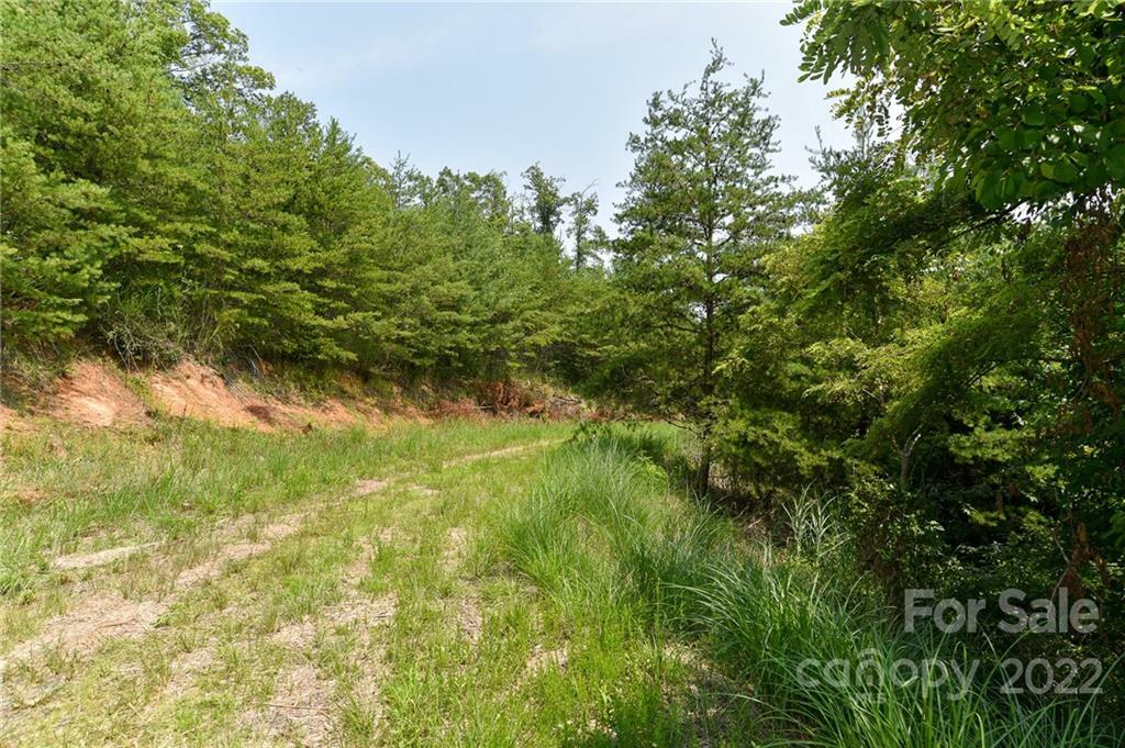 Lot 9 The Vines Boulevard Lot 9  Marshall NC 28753 photo