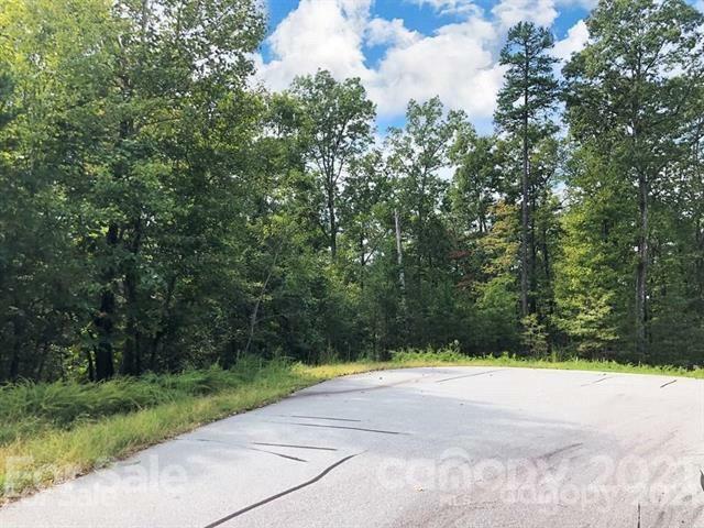 Property Photo:  V/L Cove Forest Road 35  NC 28752 