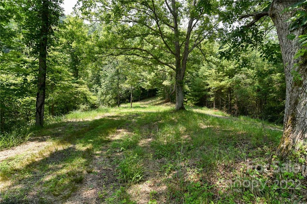 Lot 13 The Vines Boulevard Lot 13  Marshall NC 28753 photo