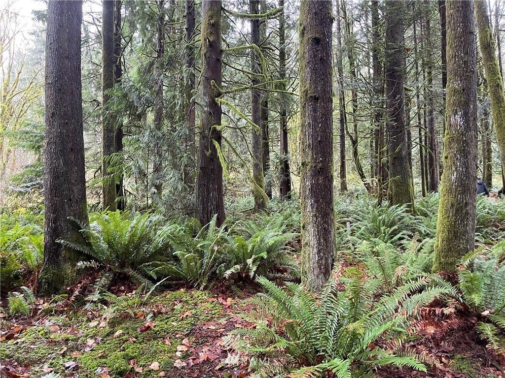 Property Photo:  273 Xn Old Pipeline Road  WA 98272 