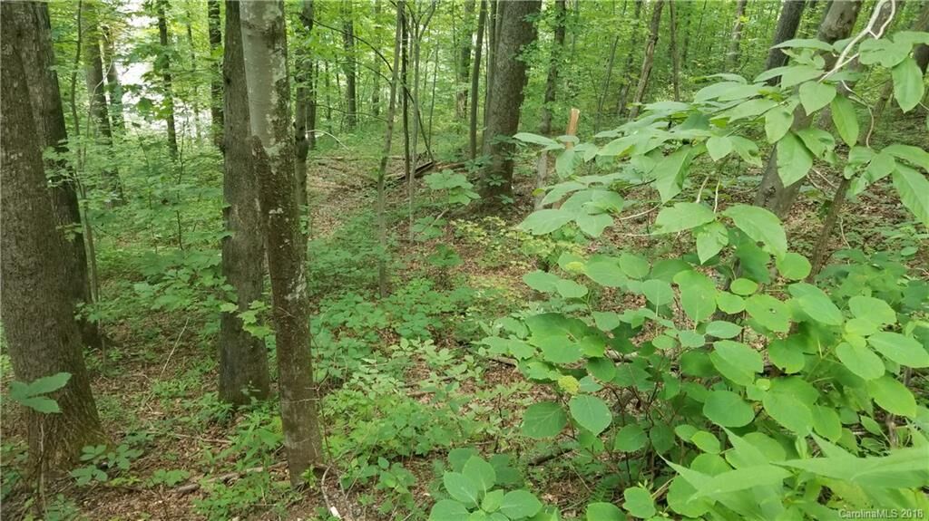 Property Photo:  0 Bear Creek Lane 20  NC 28773 