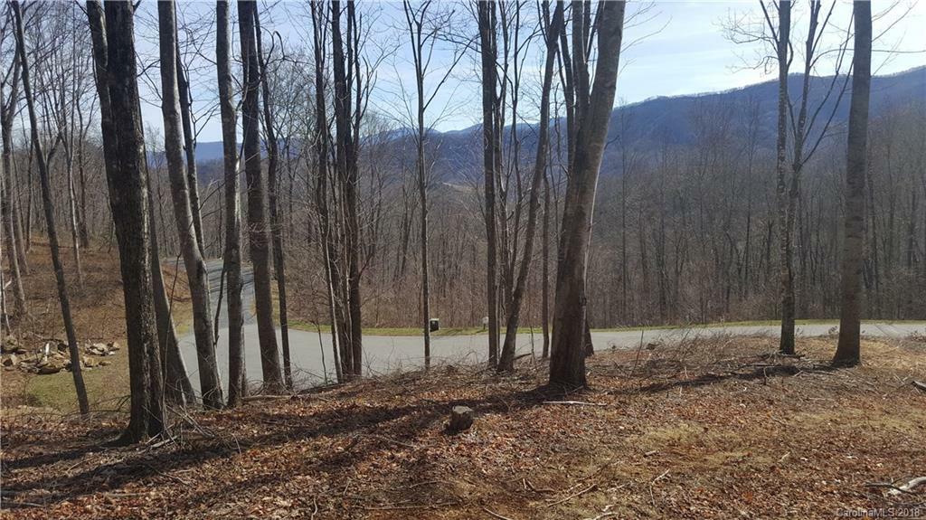 Property Photo:  Lot 20 Mountain Watch Drive  NC 28751 